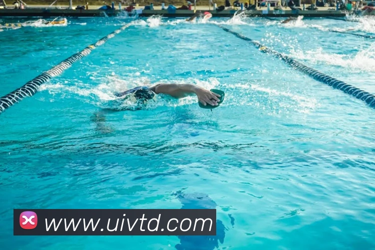 世界杯竞猜网服务体系